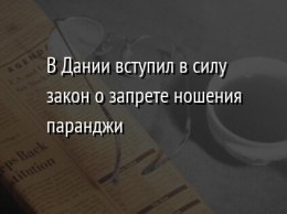 В Дании вступил в силу закон о запрете ношения паранджи