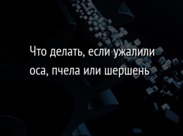 Что делать, если ужалили оса, пчела или шершень