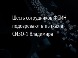 Шесть сотрудников ФСИН подозревают в пытках в СИЗО-1 Владимира