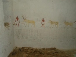 В некрополе Бени Хасан археологи раскопали гробницу знатного египтянина без саркофага