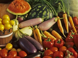 Жизнь без животной пищи: врачи рассказали о плюсах и минусах вегетарианства