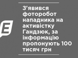 Появился фоторобот нападавшего на активистку Гандзюк, за информацию предлагают 100 тысяч грн