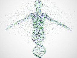 Ученые нашли «горячие точки» ДНК с высоким риском рака