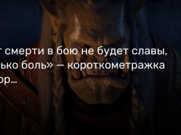 «От смерти в бою не будет славы, только боль» - короткометражка об орке Вароке из World of Warcraft