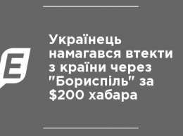Украинец пытался бежать из страны через "Борисполь" за $200 взятки