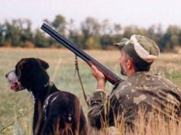 Завтра на Киевщине начинается сезон охоты на пернатую дичь