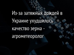 Из-за затяжных дождей в Украине ухудшилось качество зерна - агрометеоролог