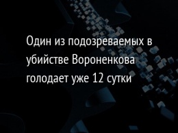 Один из подозреваемых в убийстве Вороненкова голодает уже 12 сутки