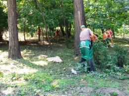 В Преображенском парке убрали мусор и придали форму кустам