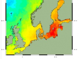 Почти как Средиземное. Балтийское море стало аномально теплым