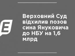 Верховный Суд отклонил иск сына Януковича к НБУ на 1,6 млрд