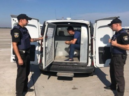 Полиция экстрадировала в Азербайджан куратора наркогруппировки, которого искал Интерпол