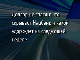 Доллар не спасли: что скрывает Нацбанк и какой удар ждет на следующей неделе