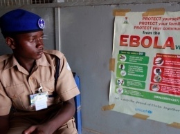 Вирус Эбола в ДР Конго: подтверждены 13 случаев заражения