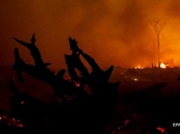 Названа причина лесных пожаров в Калифорнии