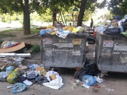 Привыкайте, малыши, к суровой жизни: на Осипенковском дети играют среди завалов мусора