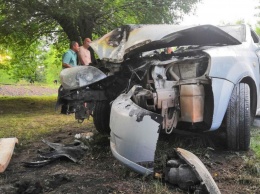 В Кривом Роге автомобиль врезался в дерево и загорелся, пострадали подростки