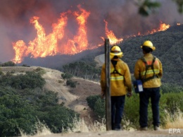 Трамп заявил, что леса в Калифорнии сгорают из-за плохих законов США