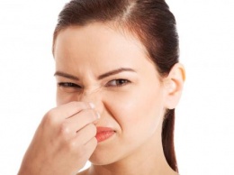 Ученые назвали ТОП-5 самых отвратительных запахов в мире