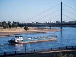 В Рейне из-за аномальной жары массово гибнет рыба