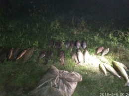 На Днепропетровщине задержали ночного браконьера с уловом на 7,5 тыс. грн