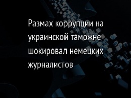 Размах коррупции на украинской таможне шокировал немецких журналистов