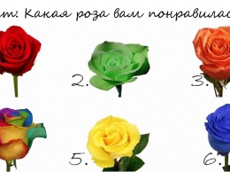 Выберите самую красивую розу - и узнаете о себе что-то интересное