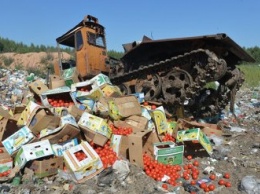 За три года в России уничтожили 26 млн кило санкционных продуктов