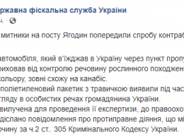 "Звания героя этим господам!" В сети высмеяли "спецоперацию века" ГФС по обнаружению крохотной дозы марихуаны