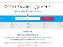 Регистратор заблокировал фейковый сайт НАПК