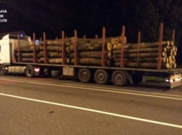 Ночью на Киевщине задержали два грузовых автомобиля по подозрению в незаконной вырубке и перевозке древесины