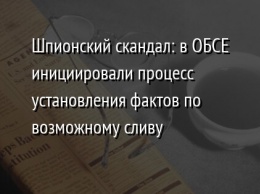 Шпионский скандал: в ОБСЕ инициировали процесс установления фактов по возможному сливу