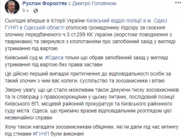 Одесского "живодера", который издевался над бездомными животными, посадили в изолятор