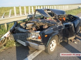 На трассе между Николаевом и Херсоном спасая собаку разбился водитель «Жигулей»