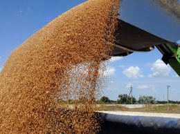 МинАПК и агротрейдеры договариваются ограничить экспорт продовольственного зерна - проект Меморандума