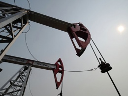 Российские ученые оптимизировали поиск нефтегазовых залежей