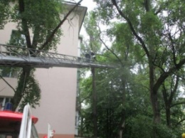 В Запорожье травмированную пенсионерку эвакуировали с балкона