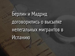 Берлин и Мадрид договорились о высылке нелегальных мигрантов в Испанию