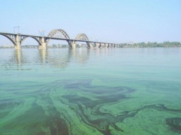 Украинцам объяснили, чем так опасно цветение днепровской воды