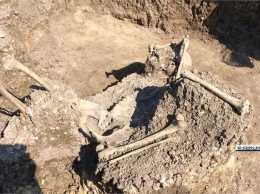 На Керченском полуострове обнаружили загадочное массовое погребение