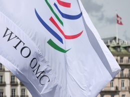 Россия и Евросоюз заявили о победе в споре в ВТО