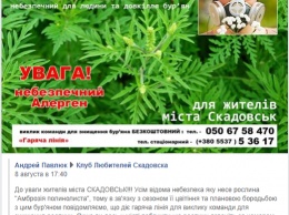 В Скадовске для борьбы с карантинными сорняками создали специальную команду, которую можно вызвать по телефону