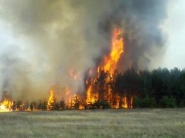 В заповеднике возле Ялты начался сильный лесной пожар