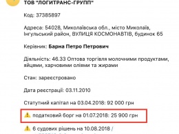 Предприятия николаевского депутата Барны не платят налоги - уже должны государству более 40 тысяч гривен
