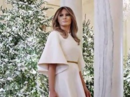 «Не рановато?»: Меланья Трамп готовится украшать Белый дом к Рождеству