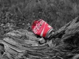 «Праздник к нам приходит»: В Подмосковье подпольно производили Coca-Cola