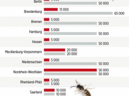 Насекомое по цене дома. В Германии штраф за публичное убийство осы достиг 50 тысяч евро