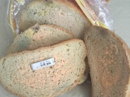 Радуга из плесени: одесситы возмущены качеством хлеба от ТМ «Булкин»