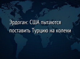 Эрдоган: США пытаются поставить Турцию на колени