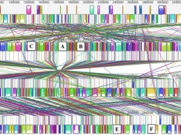 Созданы новые алгоритмы генетического анализа